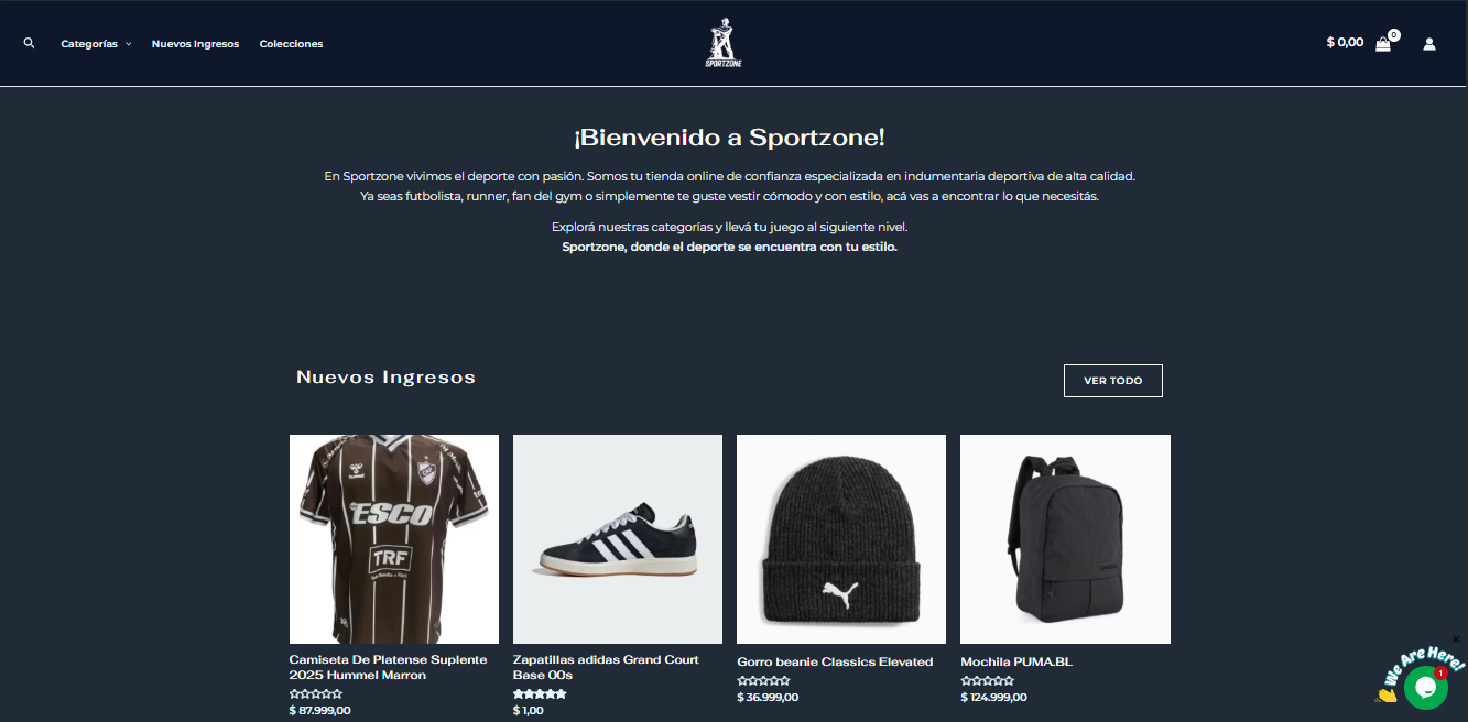 Vista previa del Proyecto 2